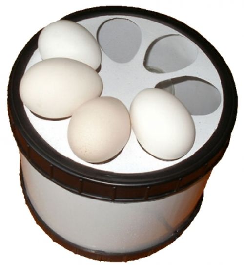Хитрости и правила инкубации яиц в домашних условиях