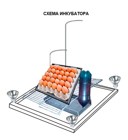 inkubator-s-avtomaticheskim-perevorotom_4