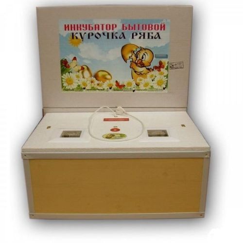 inkubator-kurochka-ryaba_6