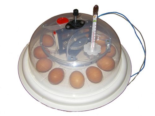 Автоматический переворот яиц в инкубаторе