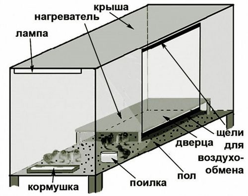 Схема брудера