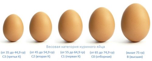Весовые категории куриного яйца