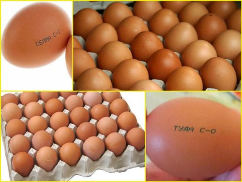 Печать на яйцах